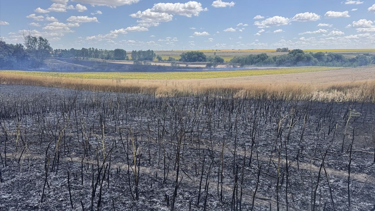 Edirne'nin Havsa İlçesinde Buğday Tarlasında Yangın Söndürüldü