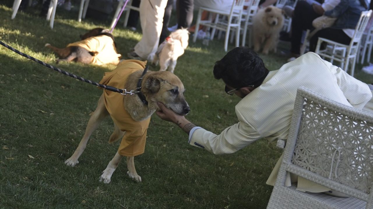 Engelli Hayvanlar Ankara'da Podyumda Yürüdü