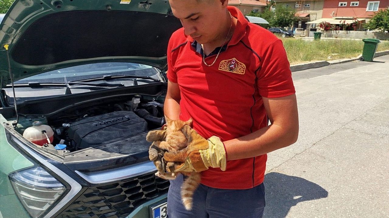 Erzincan'da İtfaiye, Otomobilin Motoruna Sıkışan Kedi Yavrularını Kurtardı