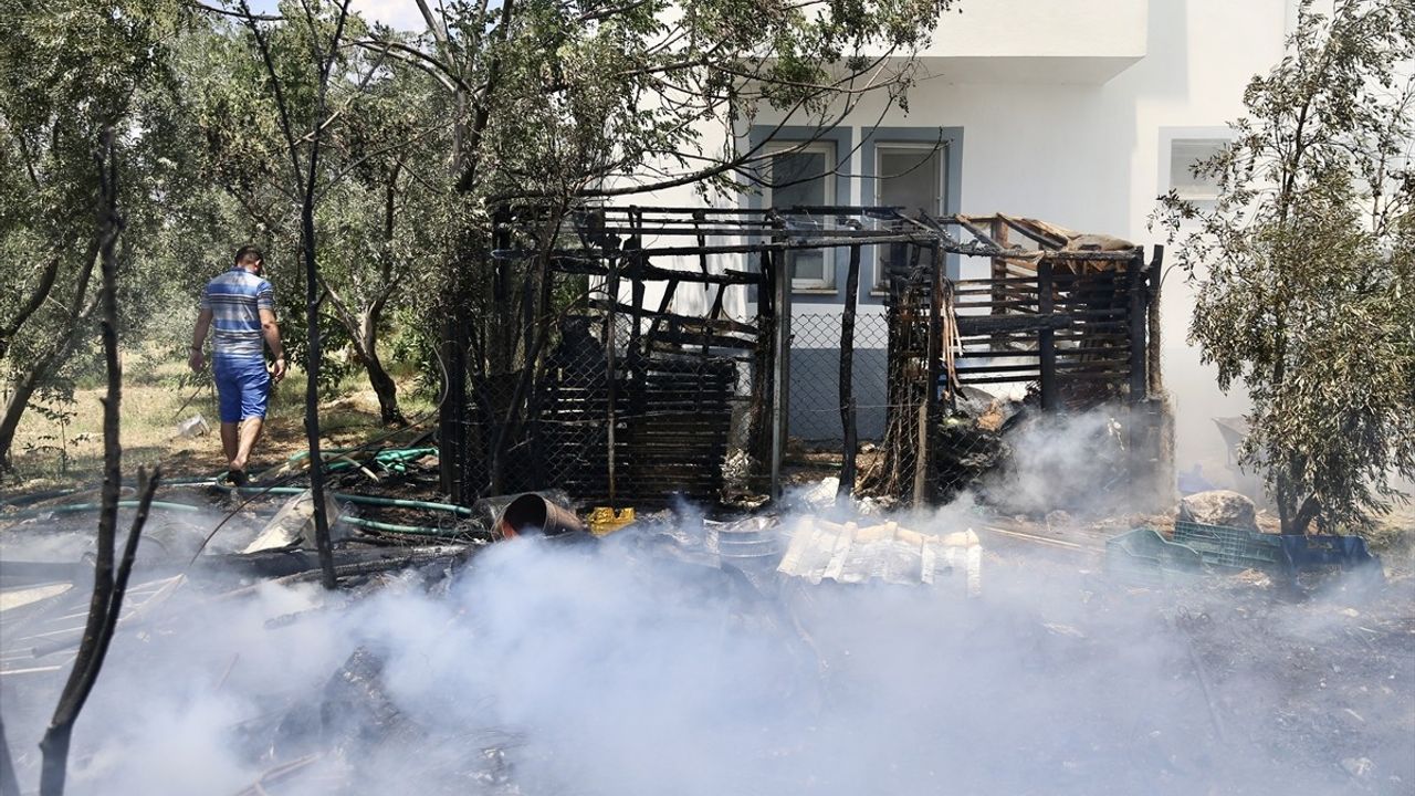 Fethiye'de Odunlukta Başlayan Yangın Zeytinliğe Sıçradı, Kontrol Altına Alındı