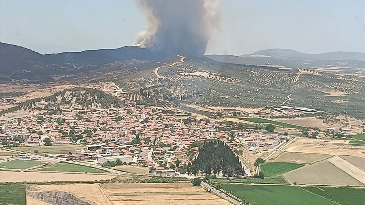 Aliağa'da Orman Yangınına Hızla Müdahale Ediliyor