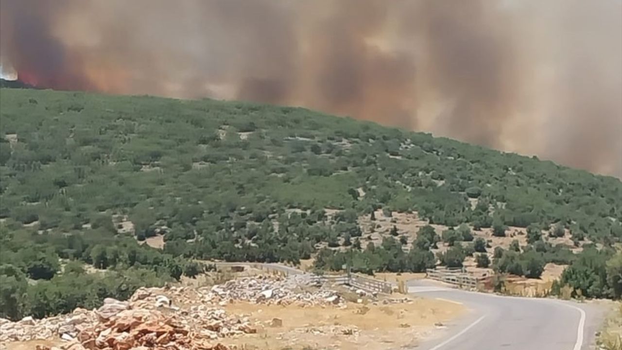 Gaziantep'in Nurdağı İlçesinde Orman Yangınına Müdahale Ediliyor