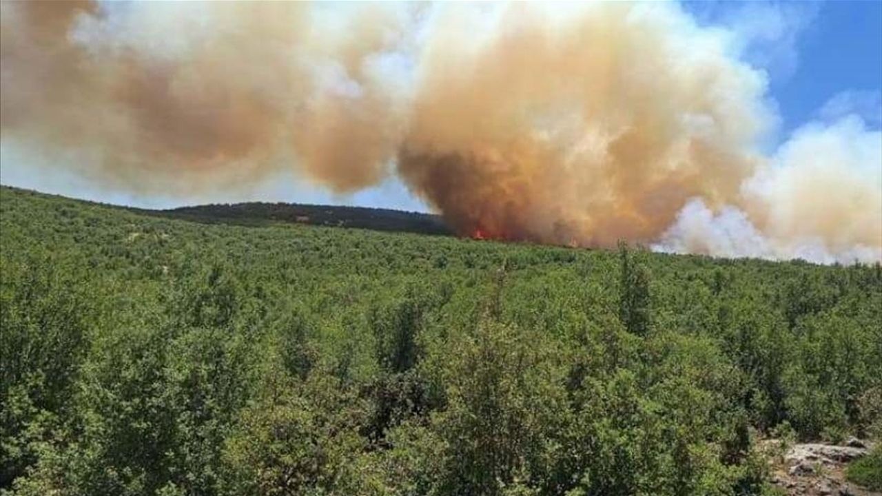 Gaziantep'in Nurdağı İlçesinde Orman Yangınına Müdahele Ediliyor