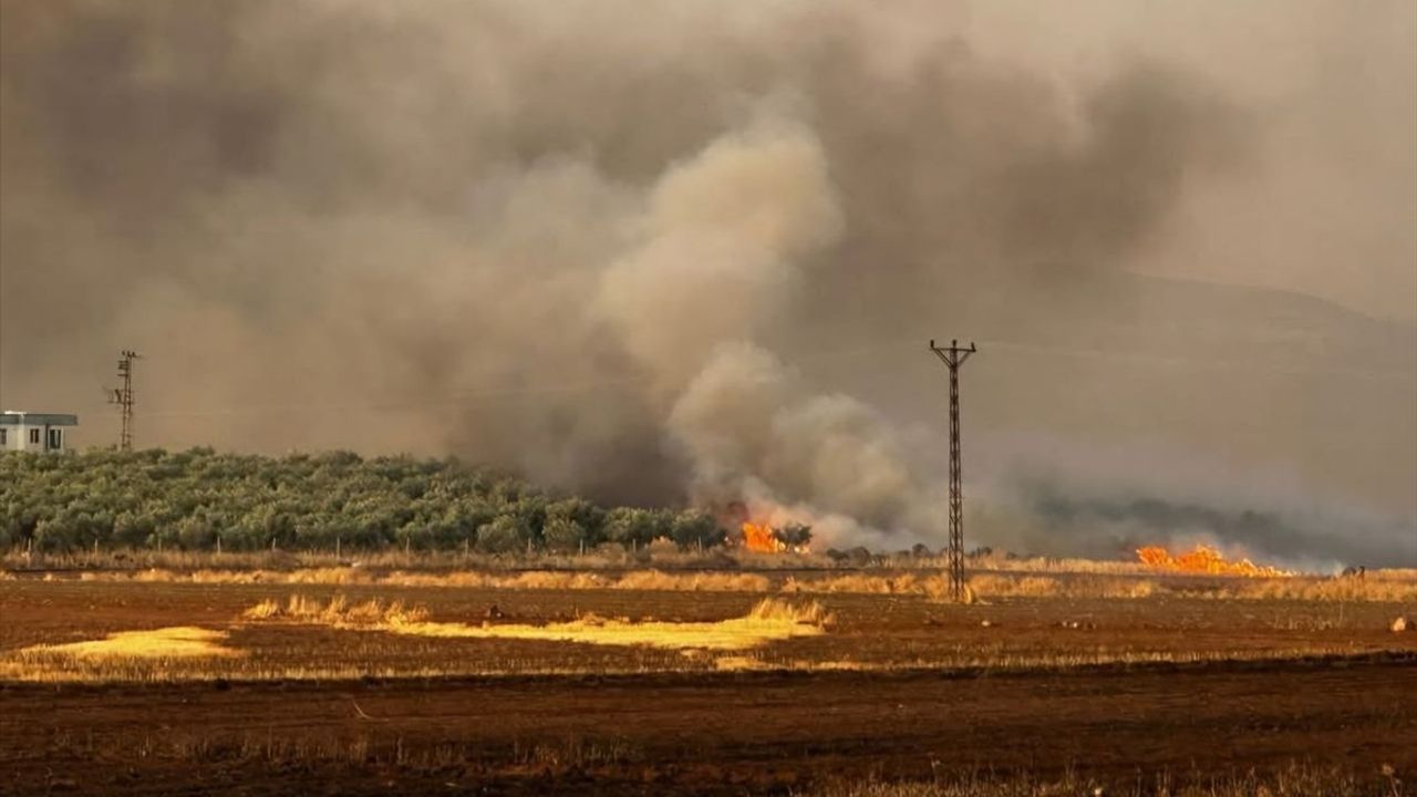 Gaziantep'te 500 Dönüm Buğday Alanında Yangın Çıktı
