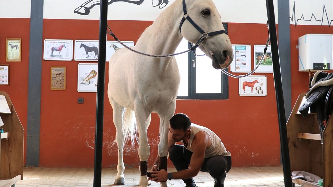 Gaziantep'te Doktorun Binicilik Serüveni: Lisanslı Sporcu Oldu