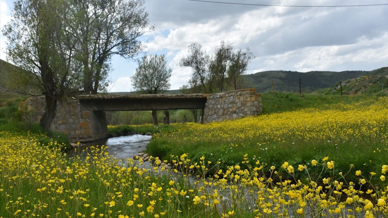 Gümüşhane'nin Sarıçiçek Köyü'nde Renkli Manzaralar