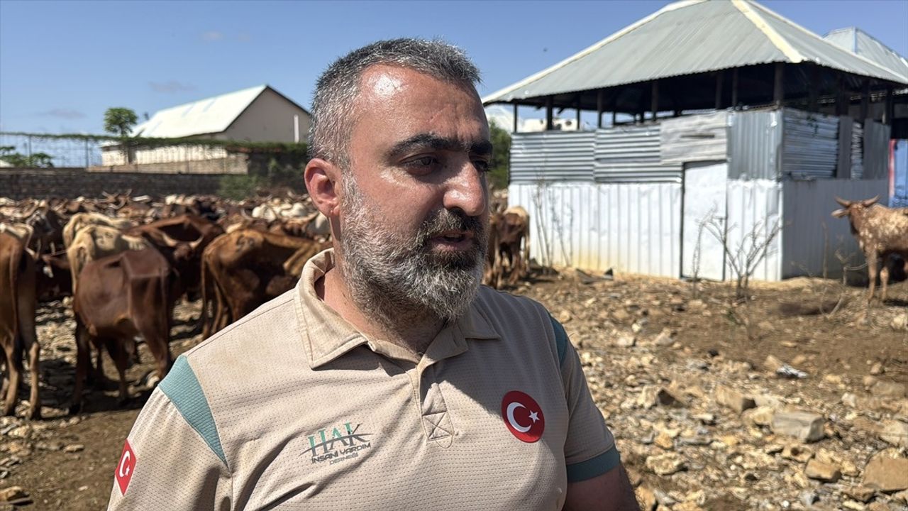 Hak İnsani Yardım Derneği, Somali'de 260 Bin Kişiye Kurban Etini Dağıttı