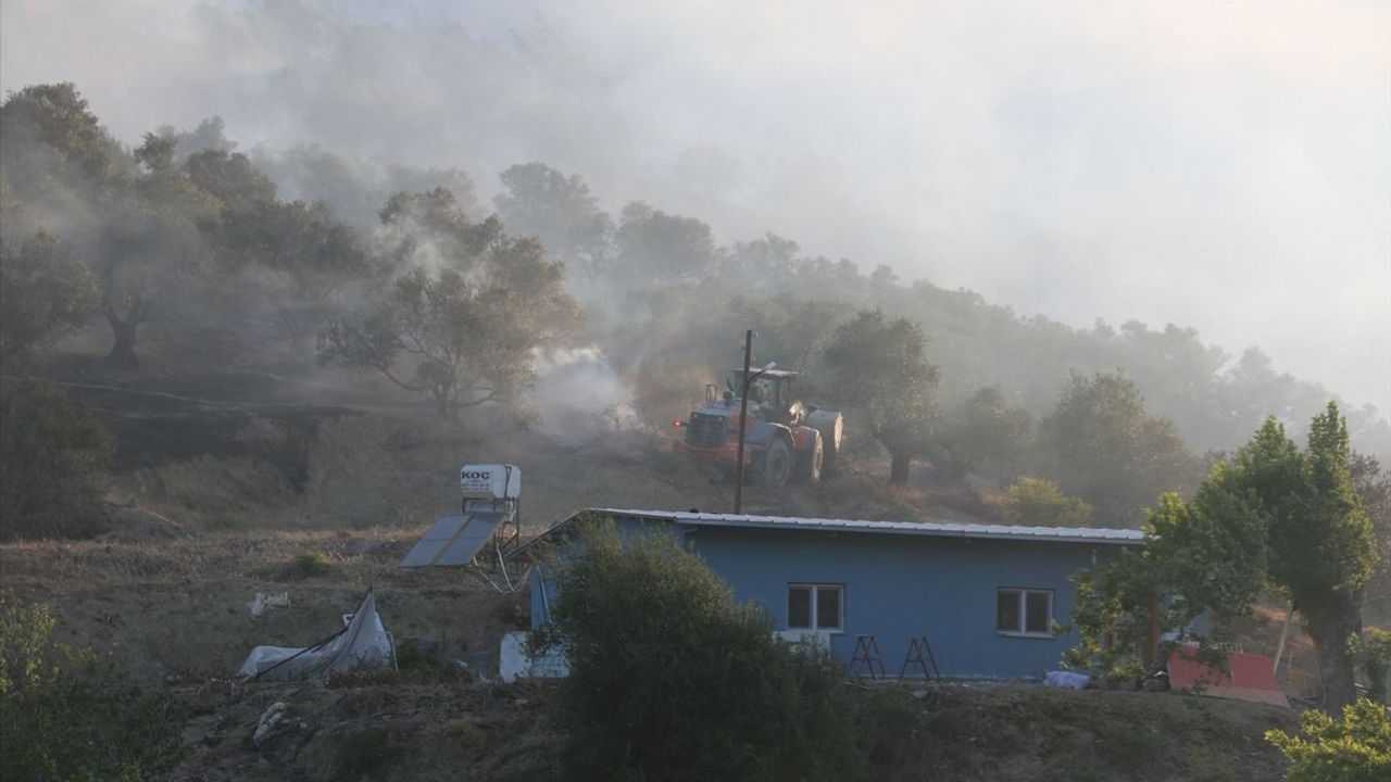 Hatay Belen'de Zeytinlikteki Yangın Kontrol Altına Alındı