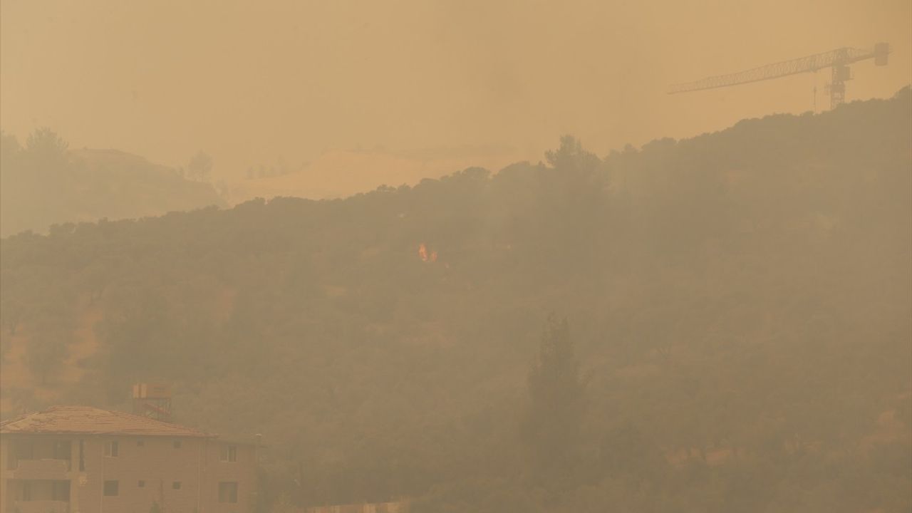 Hatay'da Orman Yangını: 1800 Vatandaş Tahliye Edildi