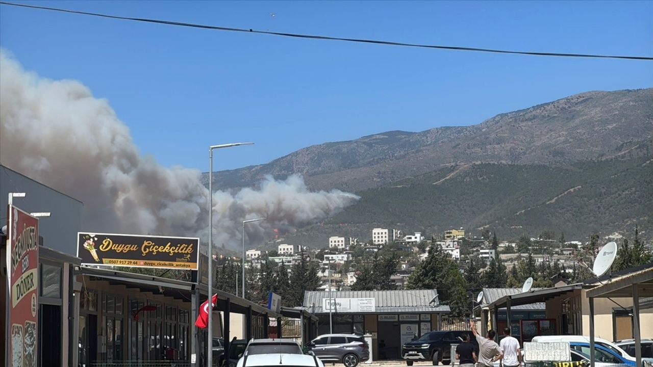 Hatay'ın Antakya İlçesinde Orman Yangınına Hızlı Müdahale