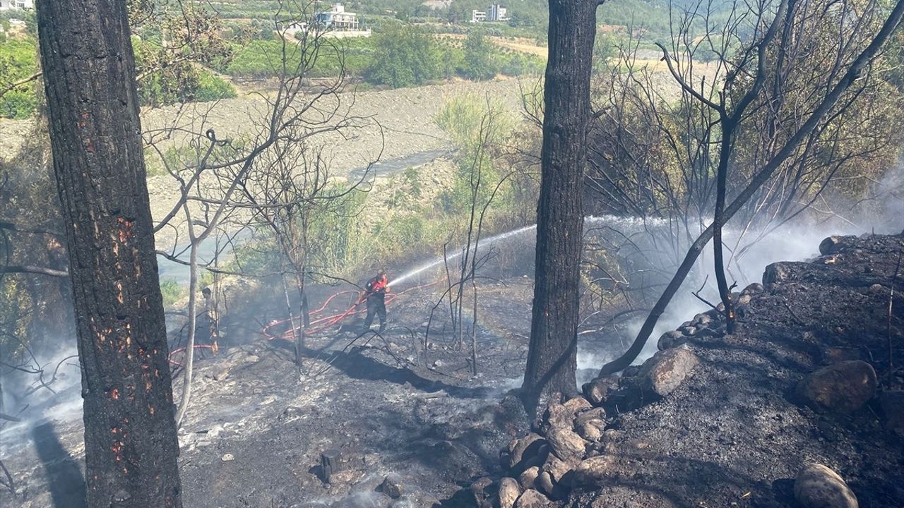 Hatay'ın Arsuz İlçesinde Orman Yangını Kontrol Altına Alındı