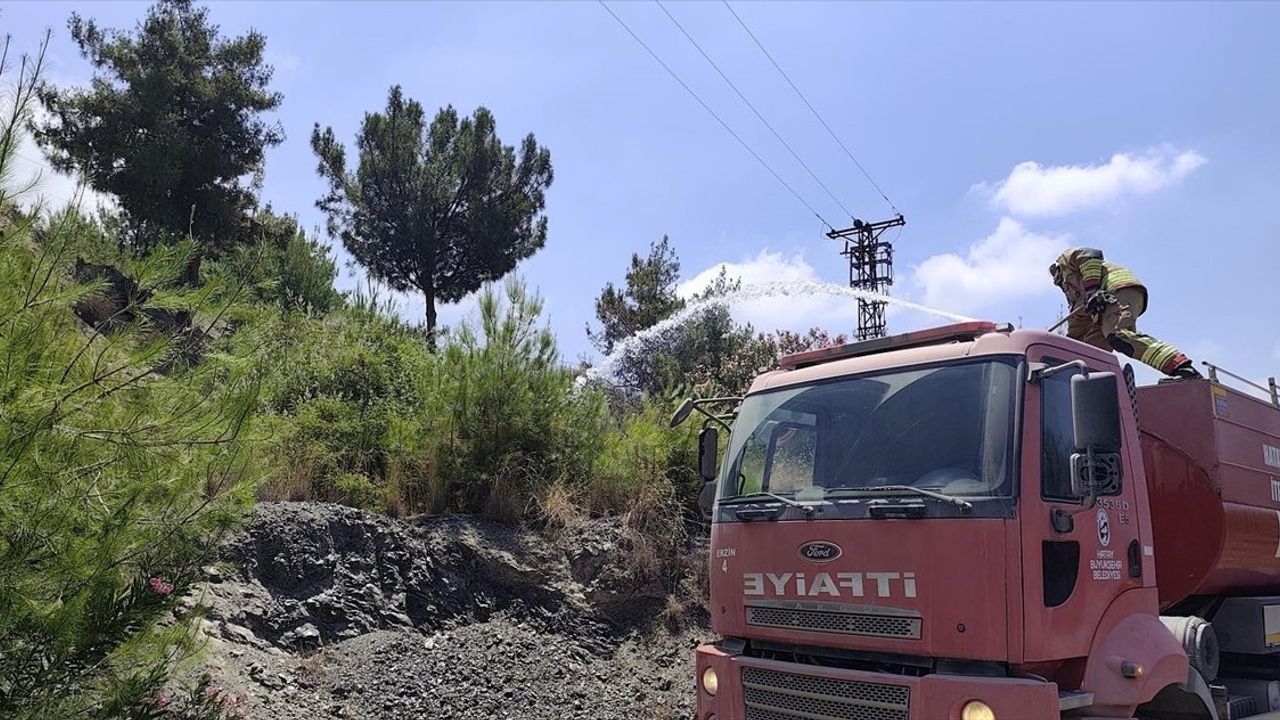 Hatay'ın İskenderun İlçesinde Orman Yangını Kontrol Altına Alındı