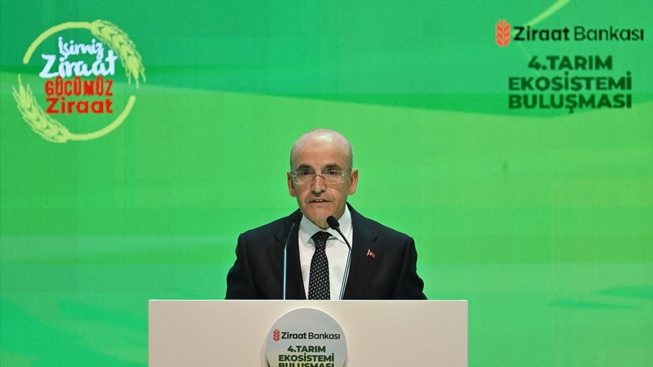 Hazine ve Maliye Bakanı Şimşek, Enflasyonla Mücadele ve Tarım Destekleri Üzerine Açıklamalarda Bulundu