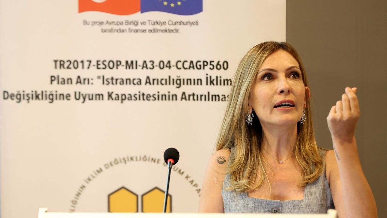 İklim Değişikliği Arı Ölümlerini Artırıyor