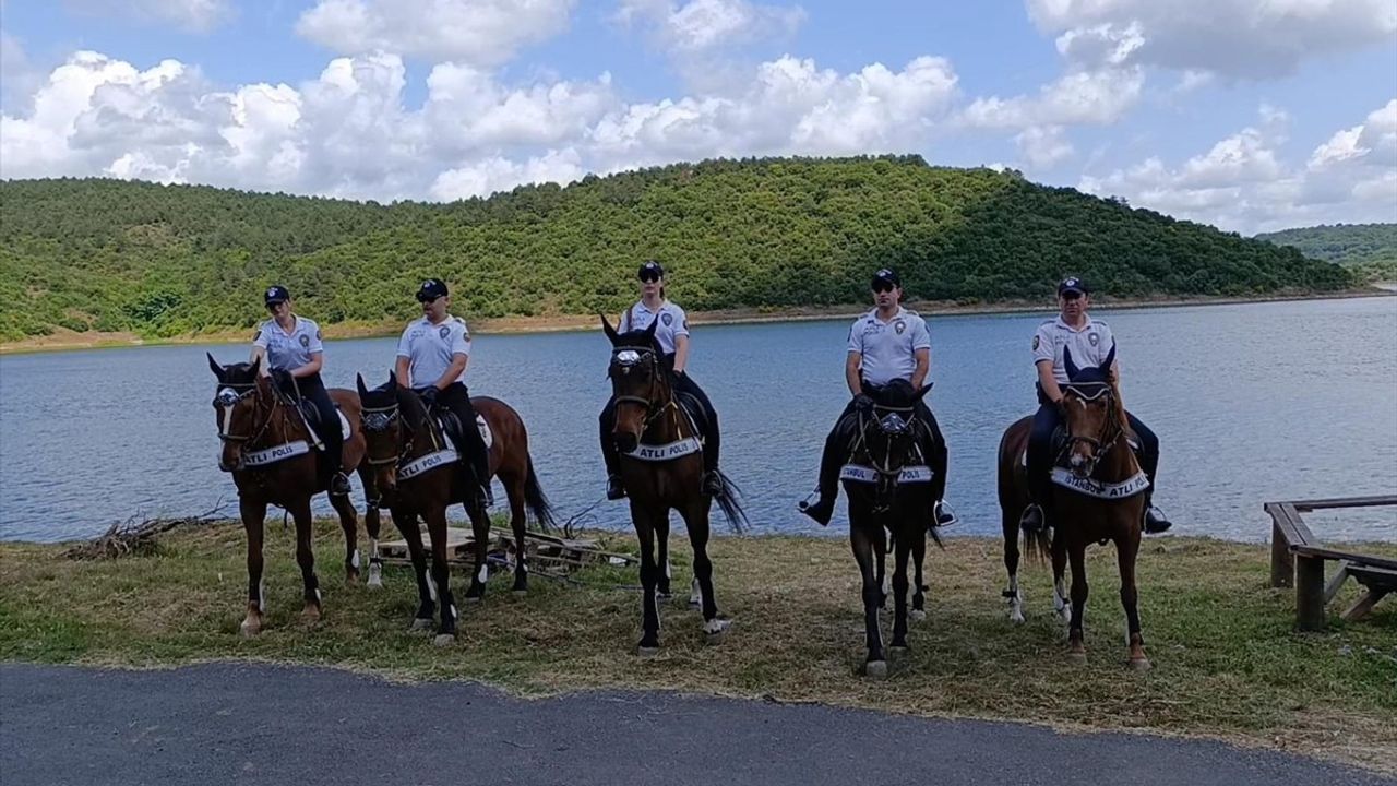 İstanbul'da Orman Yangınlarına Karşı Denetim ve Bilgilendirme Faaliyeti