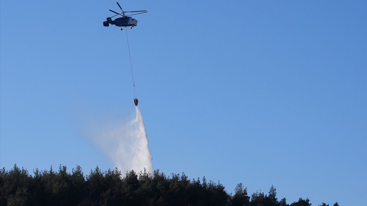İzmir Aliağa'daki Orman Yangını Kontrol Altına Alındı