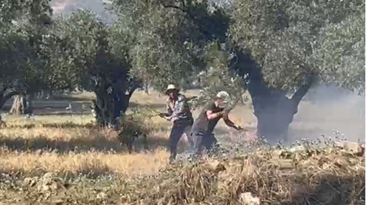 İzmir Bayındır'da Zeytinlik Alanda Yangın Söndürüldü