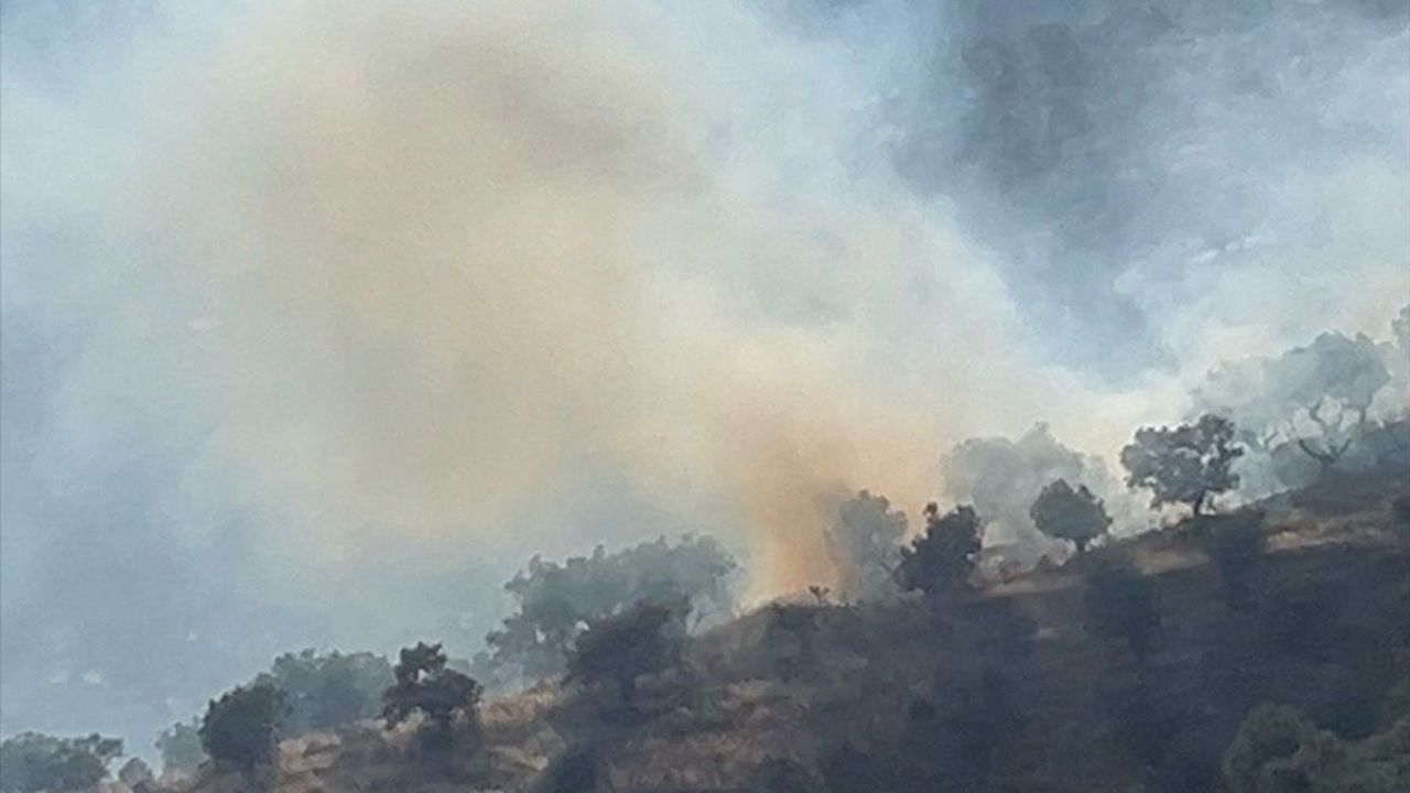İzmir Bayındır'daki Zeytinlik Yangını Kontrol Altına Alındı