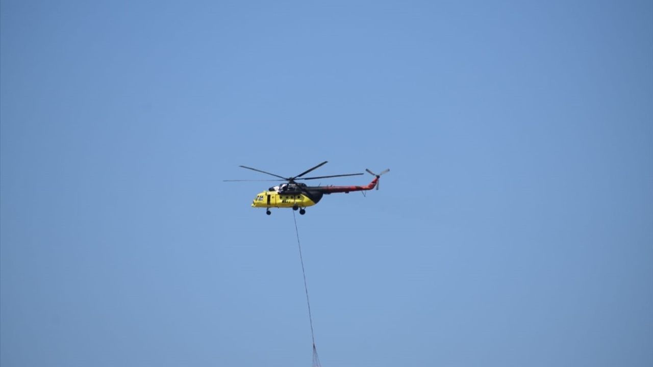 İzmir Bornova'da Tarım Arazisinde Başlayan Yangın Ormana Sıçradı