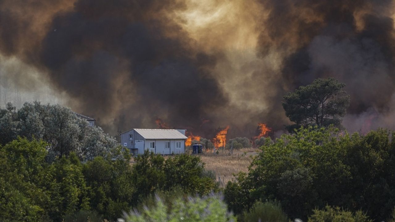 İzmir Bornova'da Tarım Arazisinden Ormana Sıçrayan Yangınla İlgili Son Gelişmeler