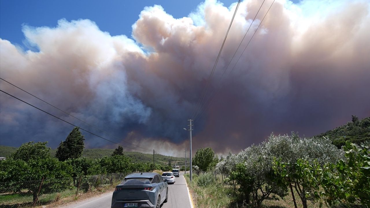 İzmir'de Menderes ve Seferihisar Arasında Orman Yangını Çıktı