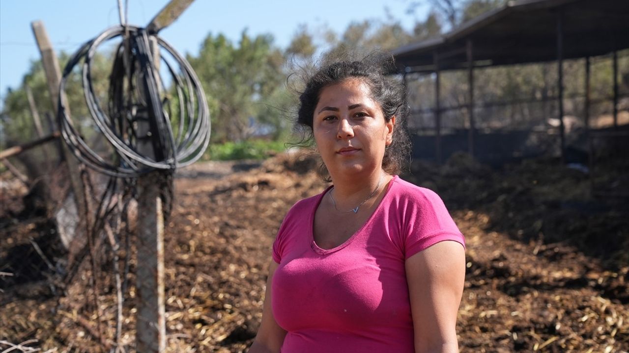 İzmir'de Orman Yangını: Ev ve Ağıllar Kullanılamaz Hale Geldi