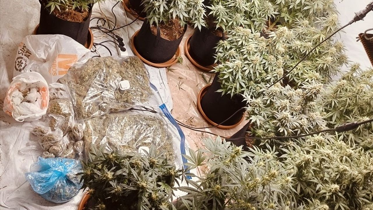 İzmir'de Uyuşturucu Madde Yetiştiren Şüpheli Tutuklandı
