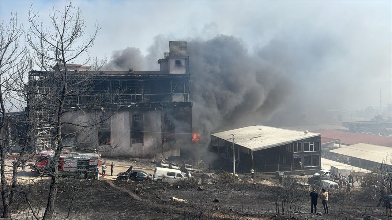 İzmir'deki Çöplük Yangını Ormanlık Alana Sıçradı: Müdahale Devam Ediyor