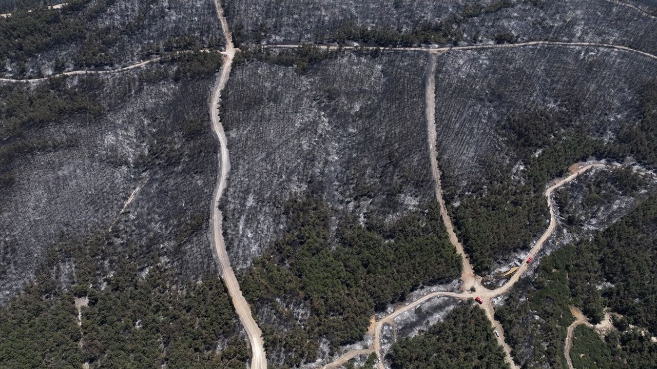 İzmir'deki Orman Yangını Hava Görüntüleriyle Belgelendi