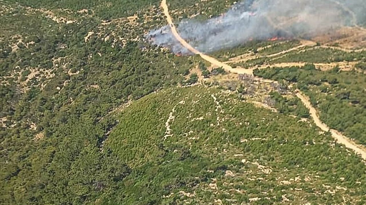 İzmir Foça'da Orman Yangınına Hızla Müdahale Ediliyor