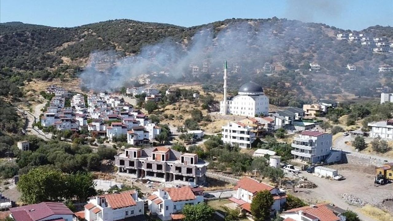 İzmir'in Dikili İlçesinde Yangına Ekipler Mücadele Ediyor