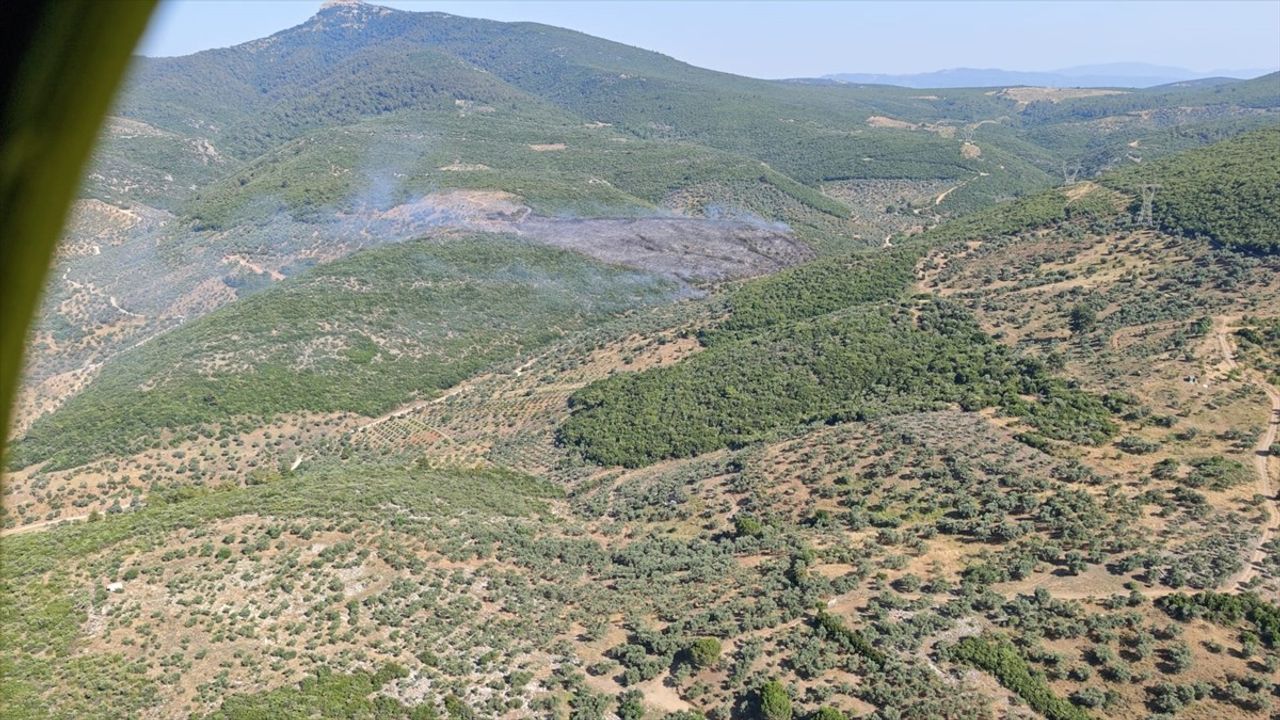 İzmir'in Torbalı İlçesinde Orman Yangınına Müdahale Ediliyor