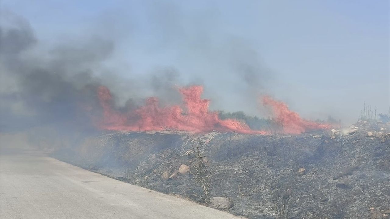 İzmir Kemalpaşa'da Boş Arazideki Yangın Kontrol Altına Alındı