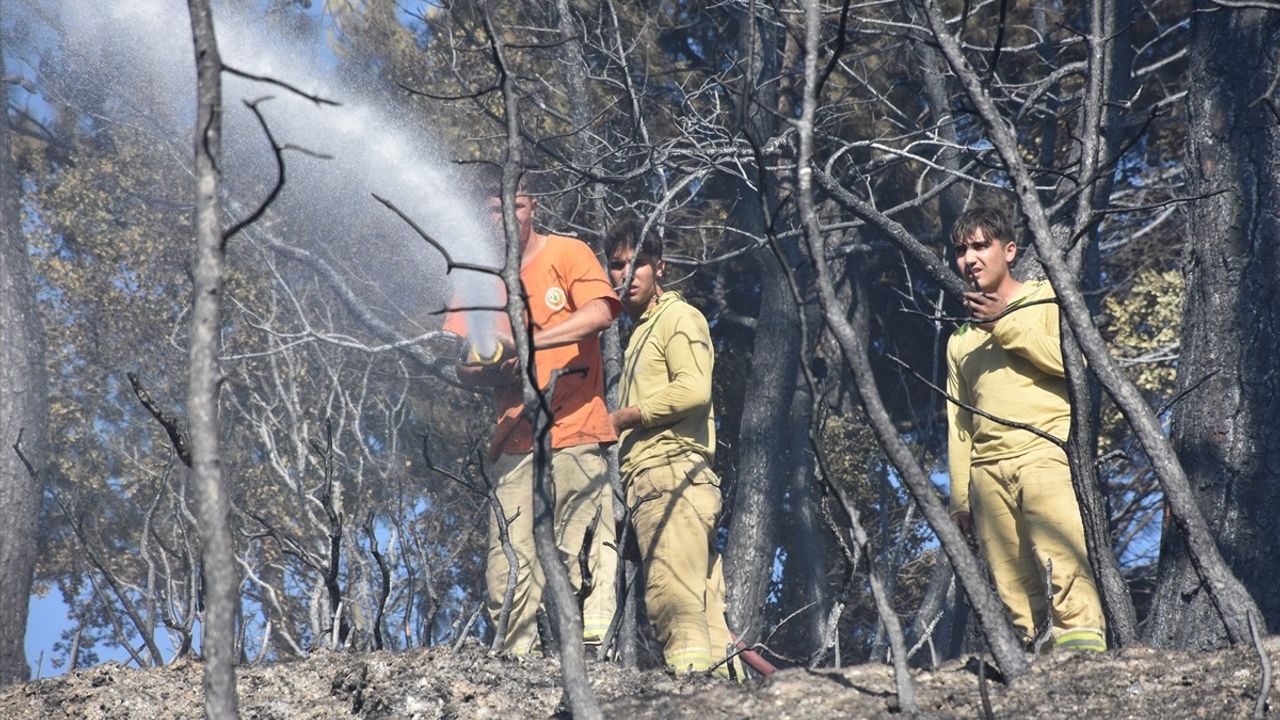İzmir Kemalpaşa'da Çıkan Orman Yangını Kontrol Altına Alındı