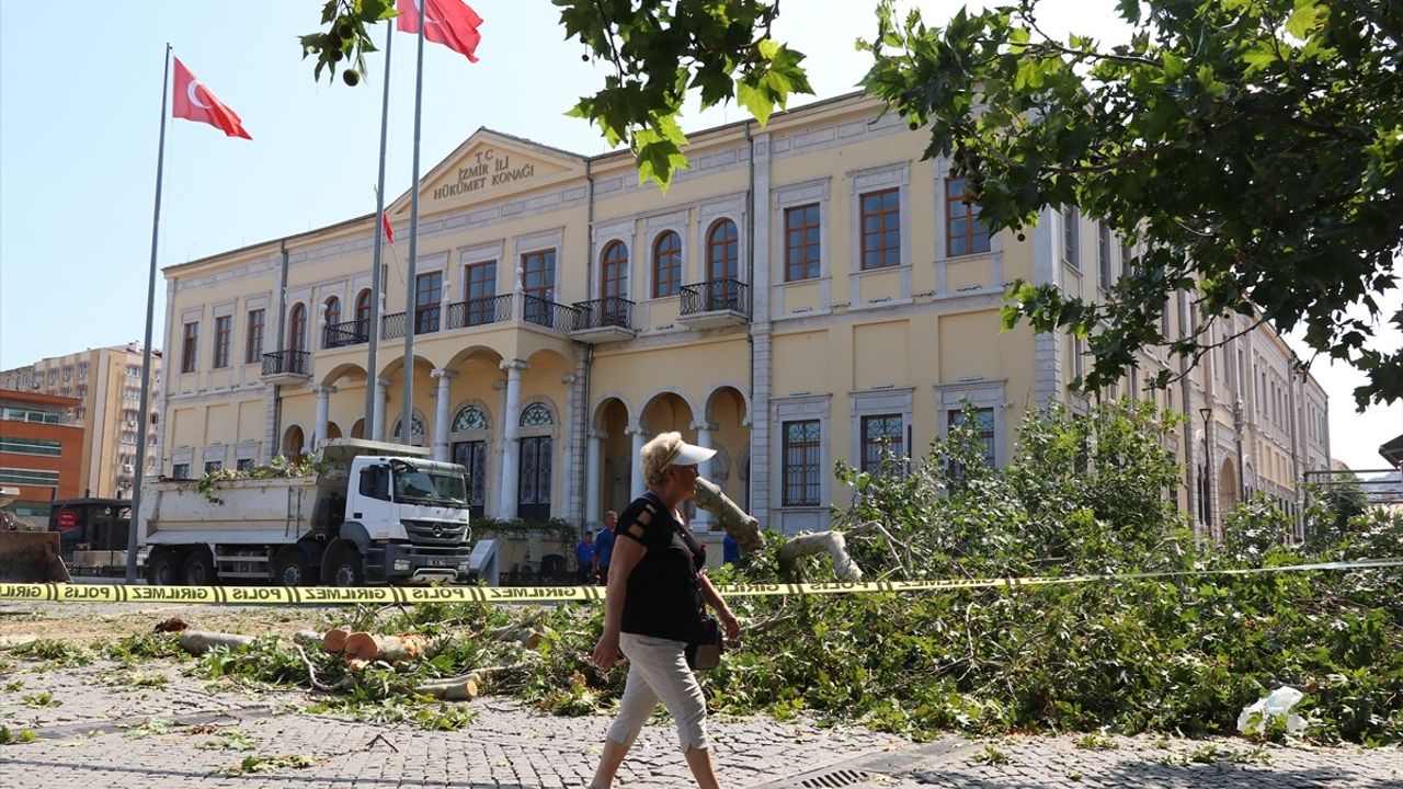 İzmir Kemeraltı Çarşısı'ndaki Asırlık Çınar Ağaçının Devrilmesi
