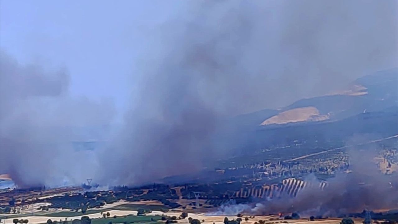 İzmir Kınık'ta Orman Yangınına Hızla Müdahale Başlatıldı