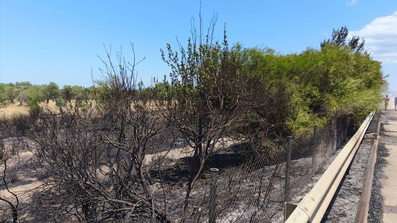 İzmir Urla'da Zeytinlik Alanda Yangın Kontrol Altına Alındı