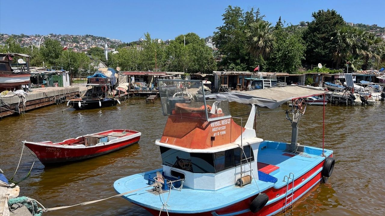 İzmit Körfezi'nde Alg Patlaması Nedeniyle Denizin Kıyısı Kahverengiye Döndü