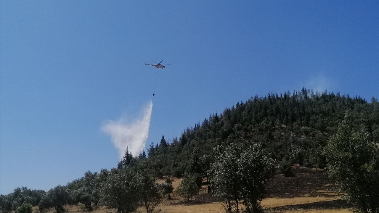 Kahramanmaraş'ta Orman Yangını Kontrol Altına Alındı