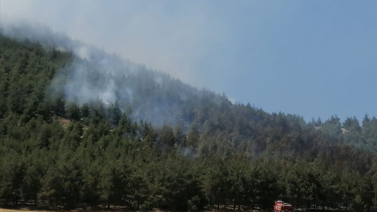 Kahramanmaraş'ta Orman Yangınına Müdahale Devam Ediyor