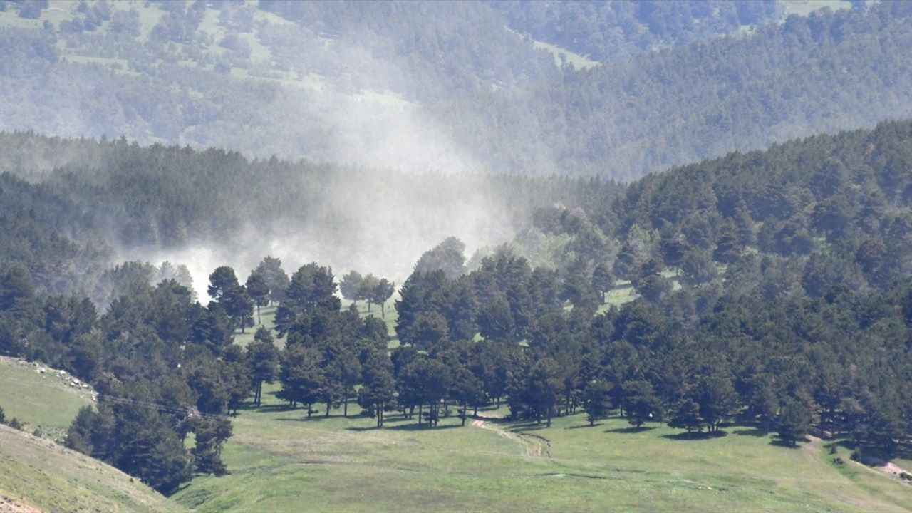 Kars'ta Polen Yoğunluğu: Sarıkamış İlçesi'nde Fırtına Etkili