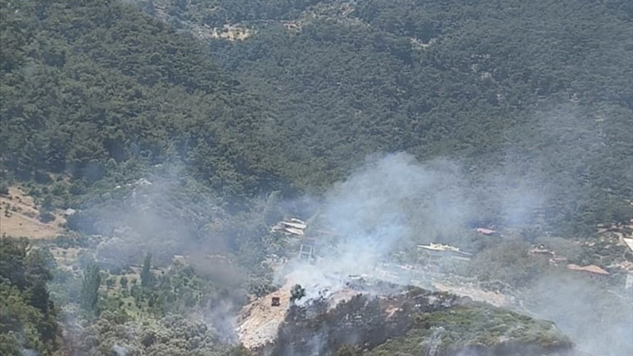 Kemalpaşa'da Orman Yangını: Havadan ve Karadan Müdahale Devam Ediyor