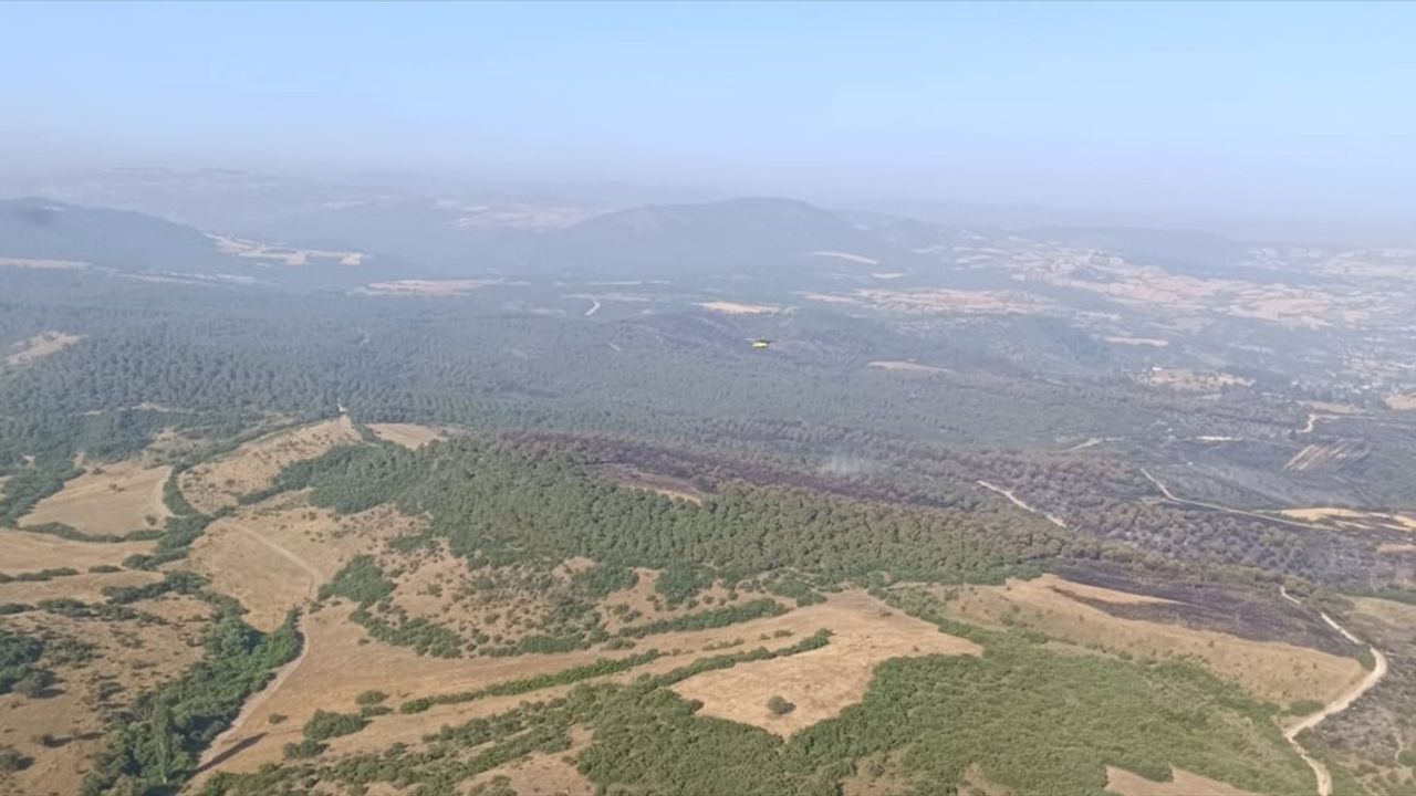 Kepsut'ta Orman Yangınları Kontrol Altına Alındı