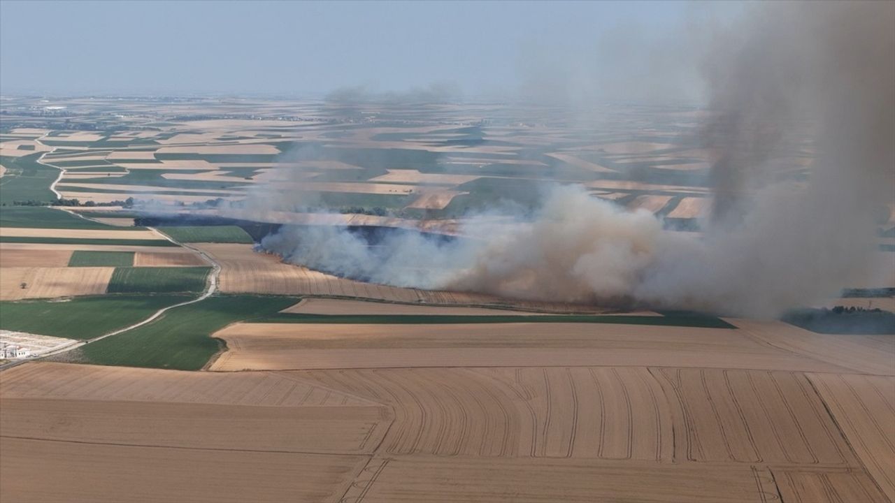Kırklareli'nde 500 Dekarlık Buğday ve Arpa Tarlası Yanarak Zarar Gördü