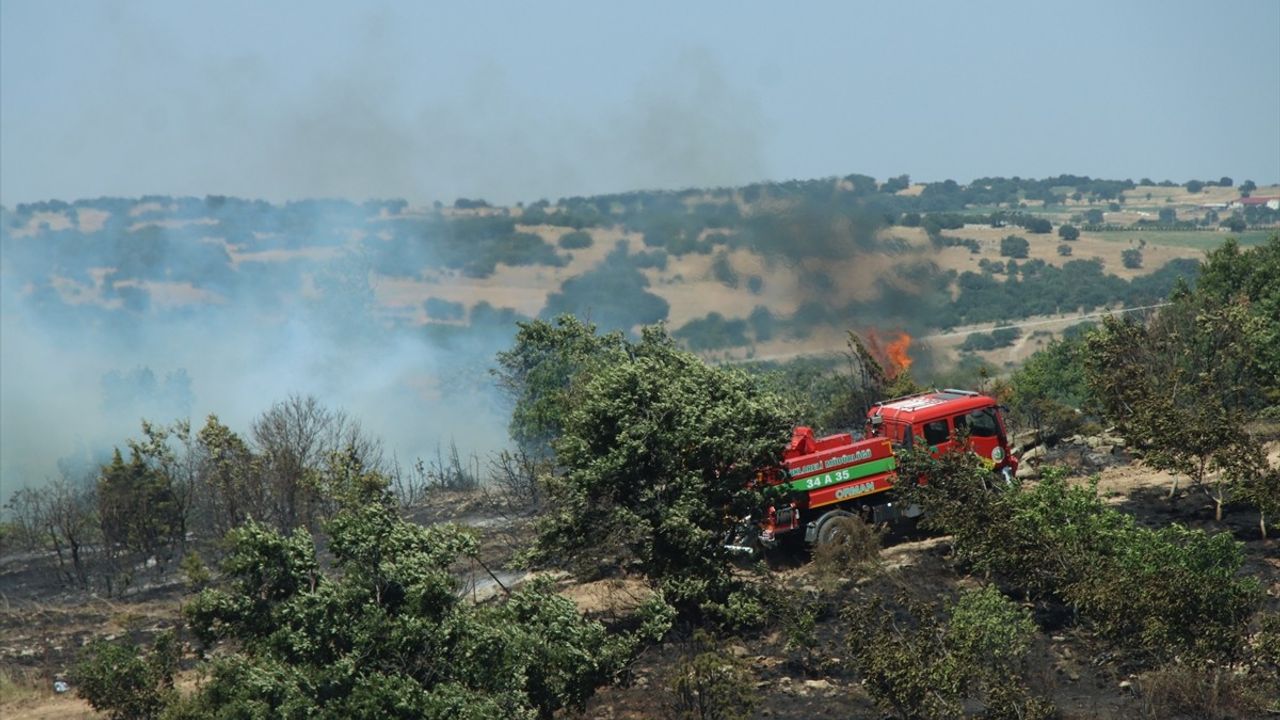 Kırklareli'nde Ceviz Bahçesinde Çıkan Yangın Kontrol Altına Alındı