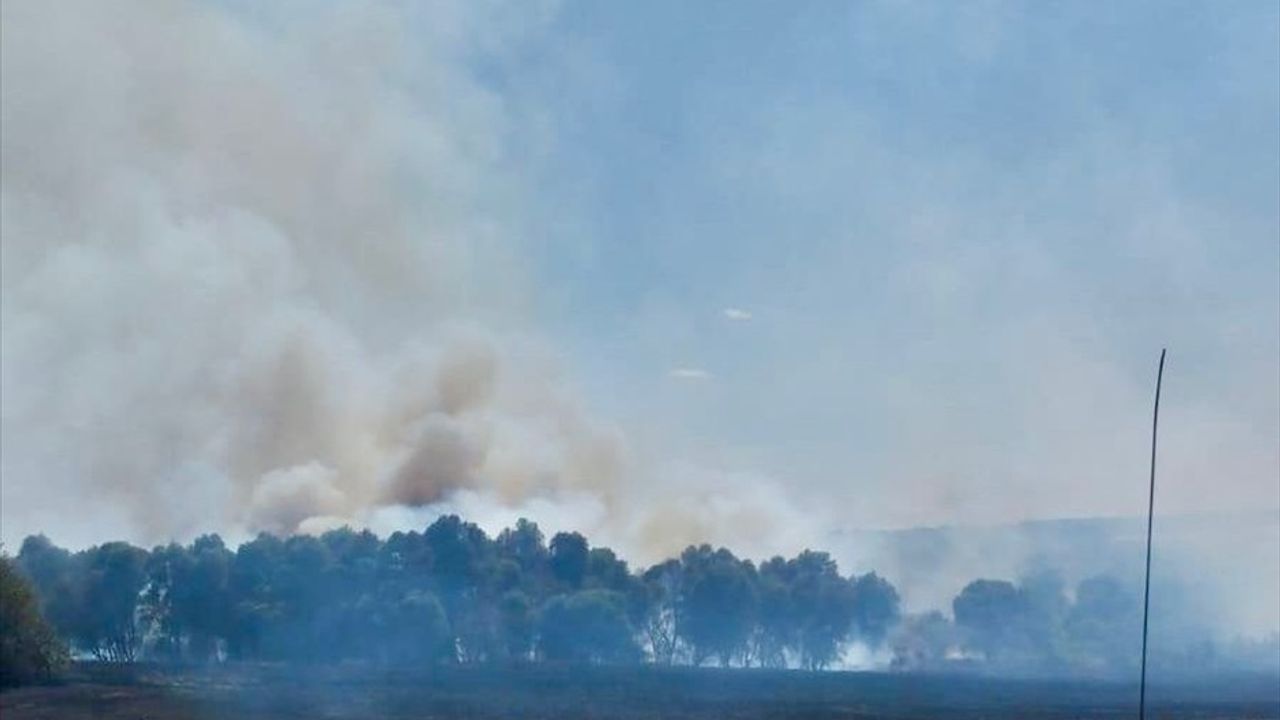Kırklareli'nde Tarım Arazisinden Ağaçlık Alana Sıçrayan Yangın Kontrol Altına Alındı