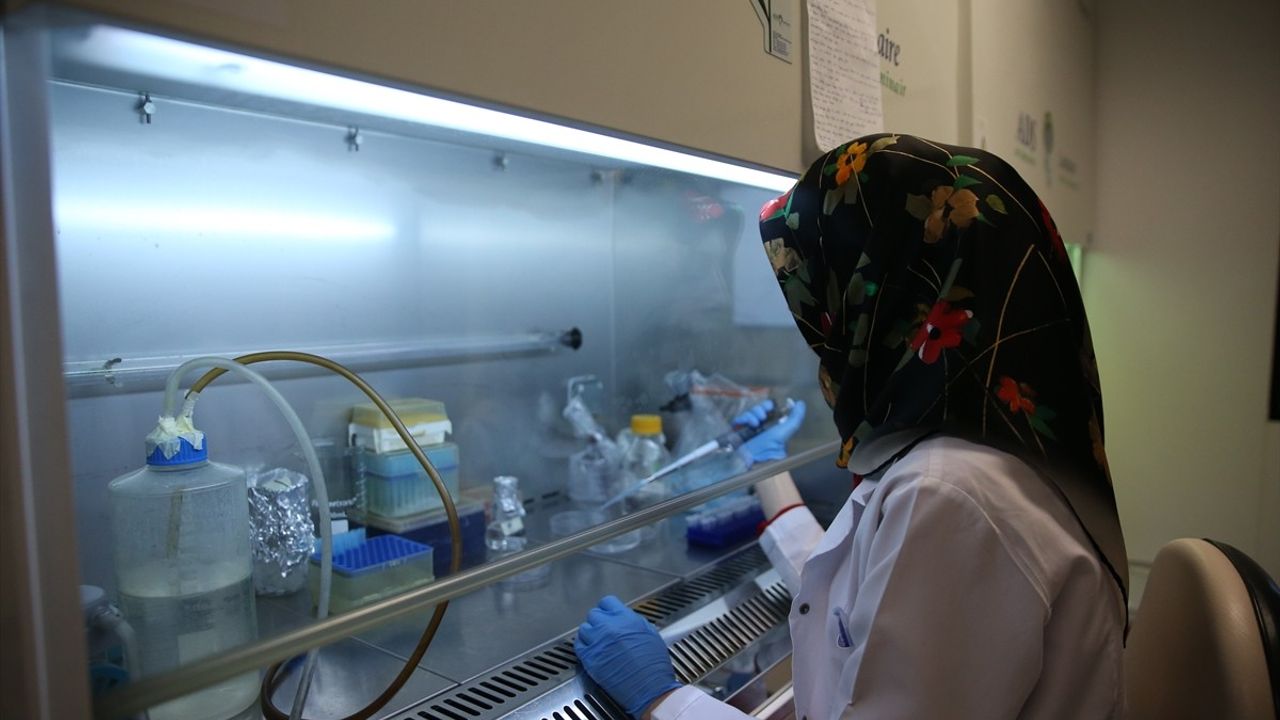 KKKA Aşısı Klinik Öncesi Çalışmaları Eylül Ayında Tamamlanacak
