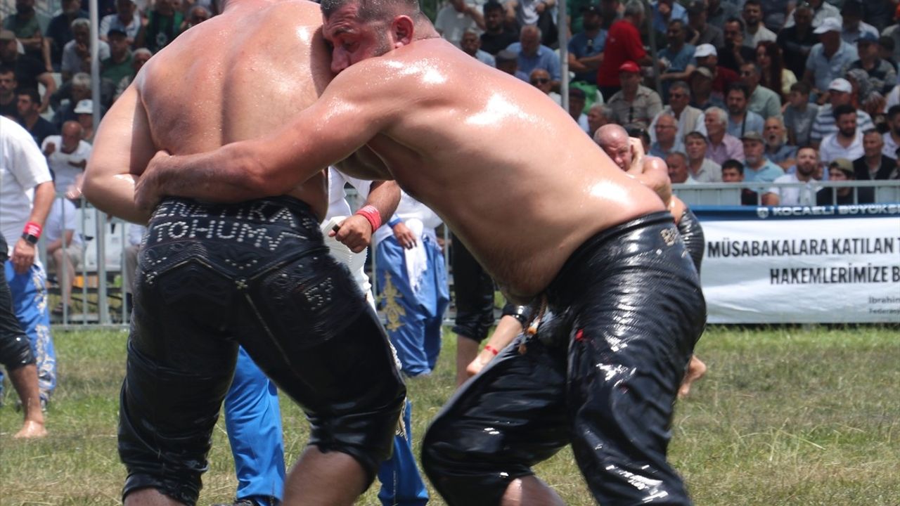 Kocaeli'de 17. Sekapark Altın Kemer Yağlı Güreşleri Devam Ediyor