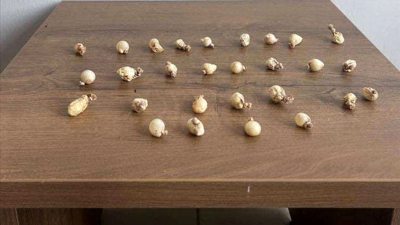 Kocaeli'de Jandarma Değerlendirmelerinde Uyuşturucu Ele Geçirildi