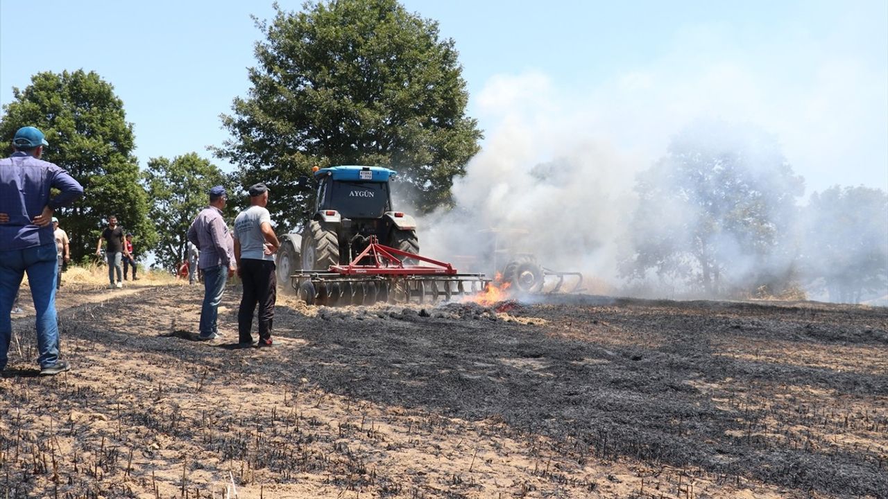 Kocaeli'de Tarım Arazisinde Yangın: 150 Dönüm Zarar Gördü